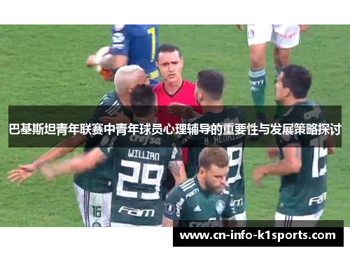 巴基斯坦青年联赛中青年球员心理辅导的重要性与发展策略探讨