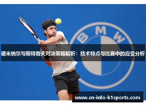 德米纳尔与斯特鲁夫对决策略解析：技术特点与比赛中的应变分析