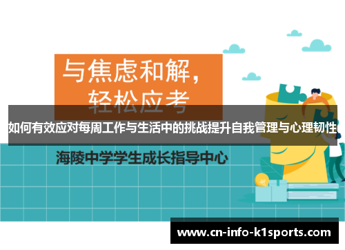 如何有效应对每周工作与生活中的挑战提升自我管理与心理韧性