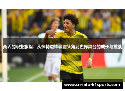 桑乔的职业旅程：从多特边锋崭露头角到世界舞台的成长与挑战